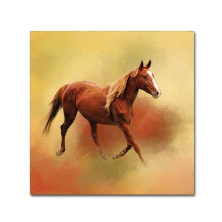 Trademark Fine Art Jai Johnson 'A Dash Of Chestnut Mare' Canvas Art, 18x18 ALI14245-C1818GG